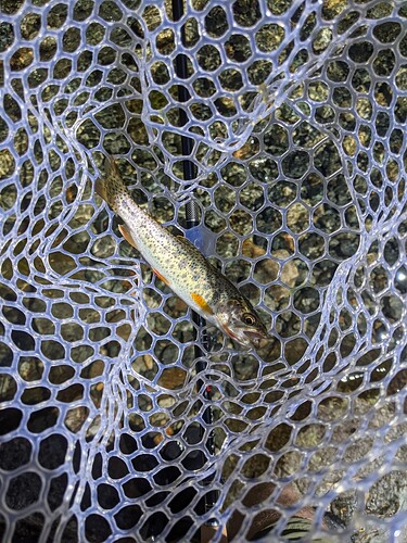 PXL_20210723_203117342