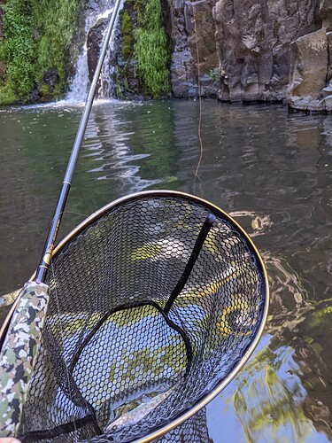 PXL_20220625_212513504.MP