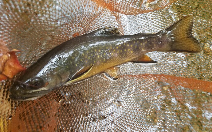 20231016_143502_copy_1456x910