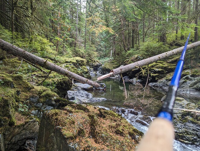 PXL_20230923_171937745