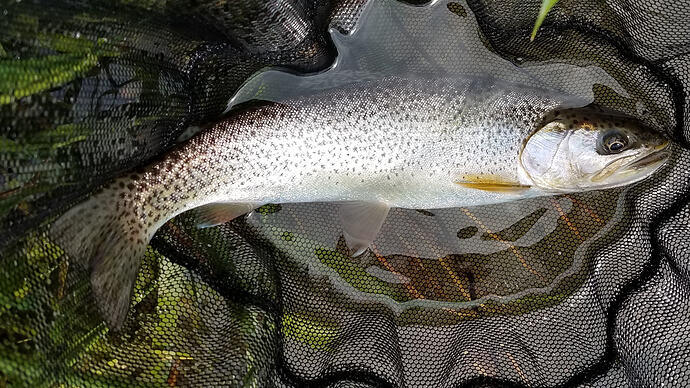 20180501_131036