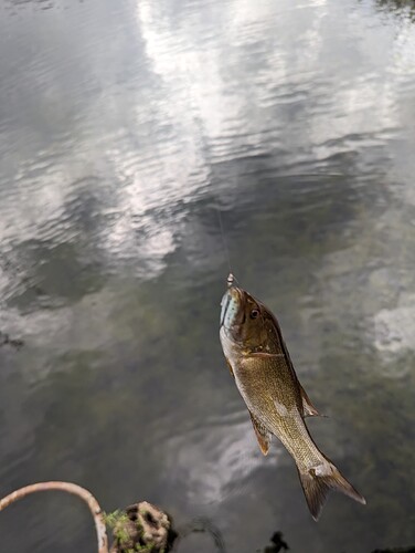 PXL_20230830_201226922.MP