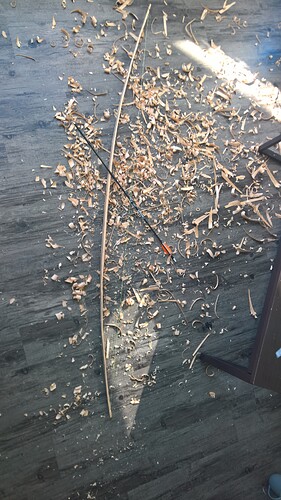 WP_20190606_17_44_22_Pro