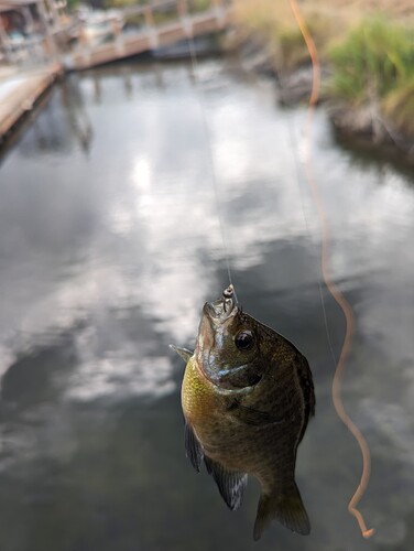 PXL_20230830_201049539