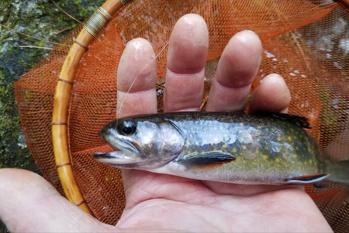 tmp_7738-20201127_0953026577545907046205907