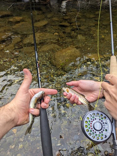 PXL_20230923_181711600.MP