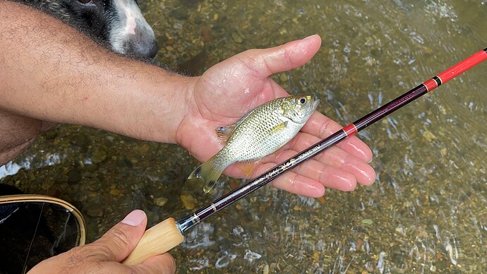 20221106_125331_IMG_4360