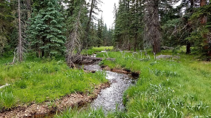 20170626_144202