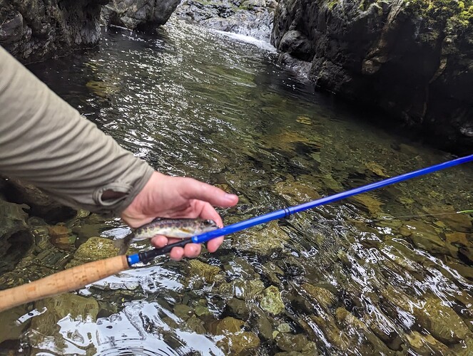 PXL_20230923_173217175