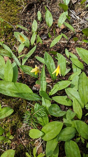 IMG_20180518_103334