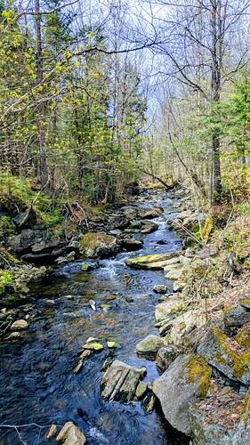 IMG_20180518_112442-EFFECTS