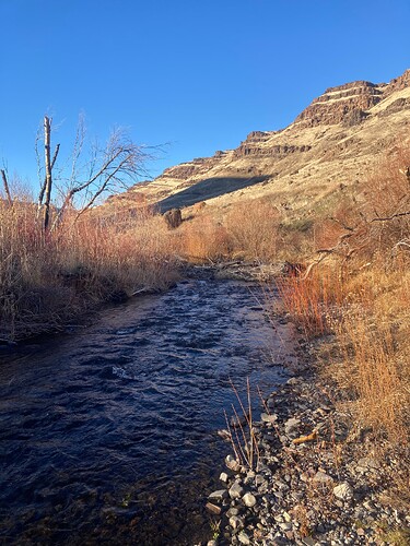 2026Jan14_8_net4scale